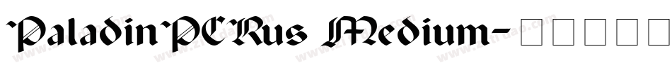 PaladinPCRus Medium字体转换